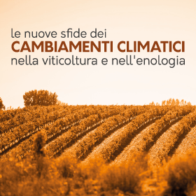cambiamenti-climatici_enologia_news