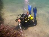 Esercitazioni subacquee per gli specializzandi - Mandriola 23-28 settembre 2013
