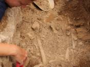 Archeologia subacquea: campagna di scavi a Scauri - Pantelleria 2012