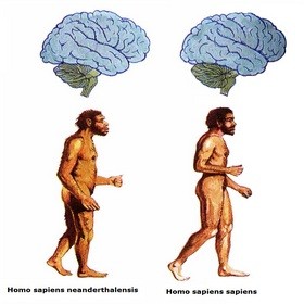AS_Homo Sapiens Homo Neandertal_cr