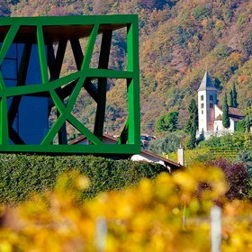 Particolare dell'azienda vitivinicola Tramin - Termeno (Bolzano)