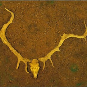 Corna e cranio di paleocervo sardo Megaceros cazioti