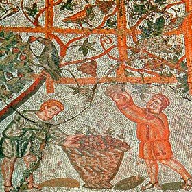 La storia del vino: dalle origini ai giorni nostri